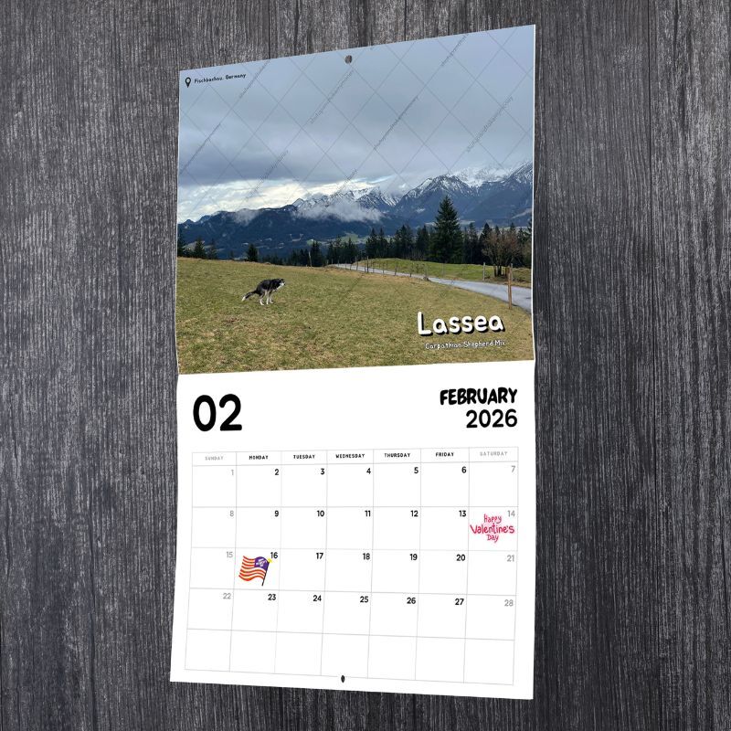 Dogs Pooping in Beautiful Places™ 2026 Calendar