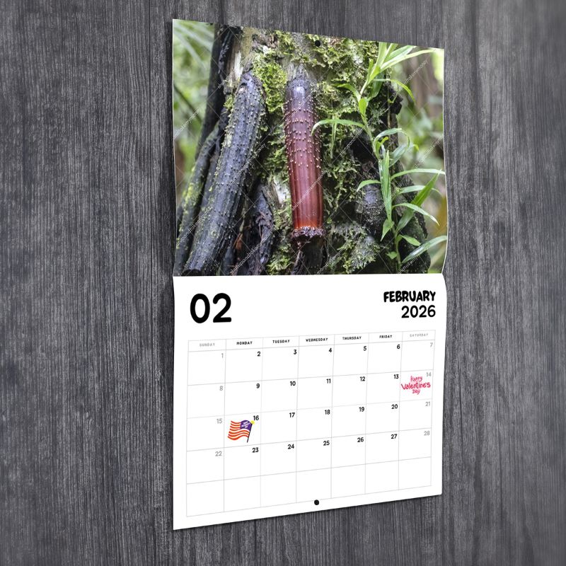 Nature's Cock Shots 2026 Calendar