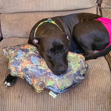 Kushion Pillows - The Dopest Pillow!