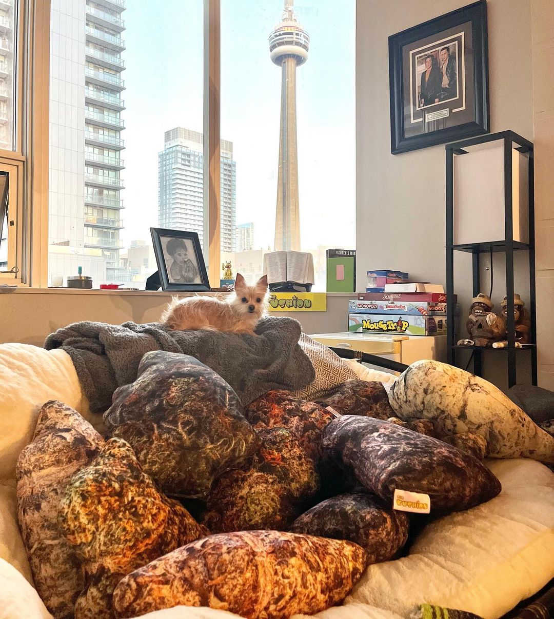 Kushion Pillows - The Dopest Pillow!