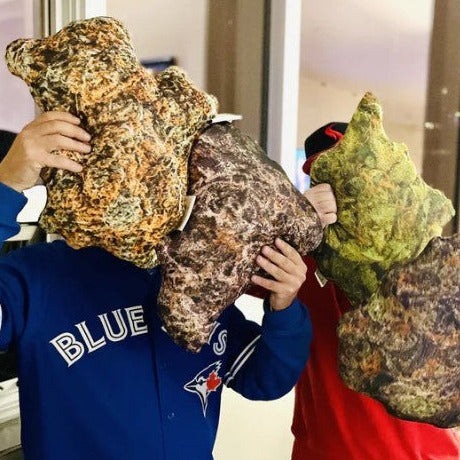 Kushion Pillows - The Dopest Pillow!