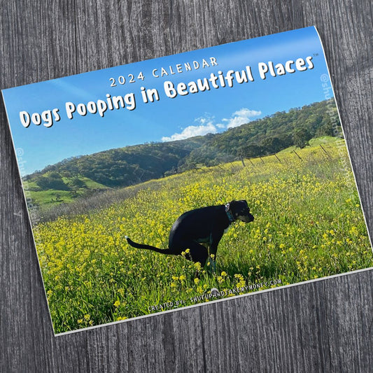 Dogs Pooping in Beautiful Places™ 2024 Calendar Official