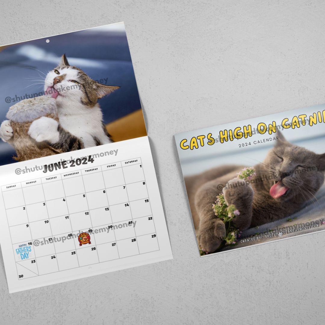 (PRE-ORDER) Cats High On Catnip 2024 Calendar