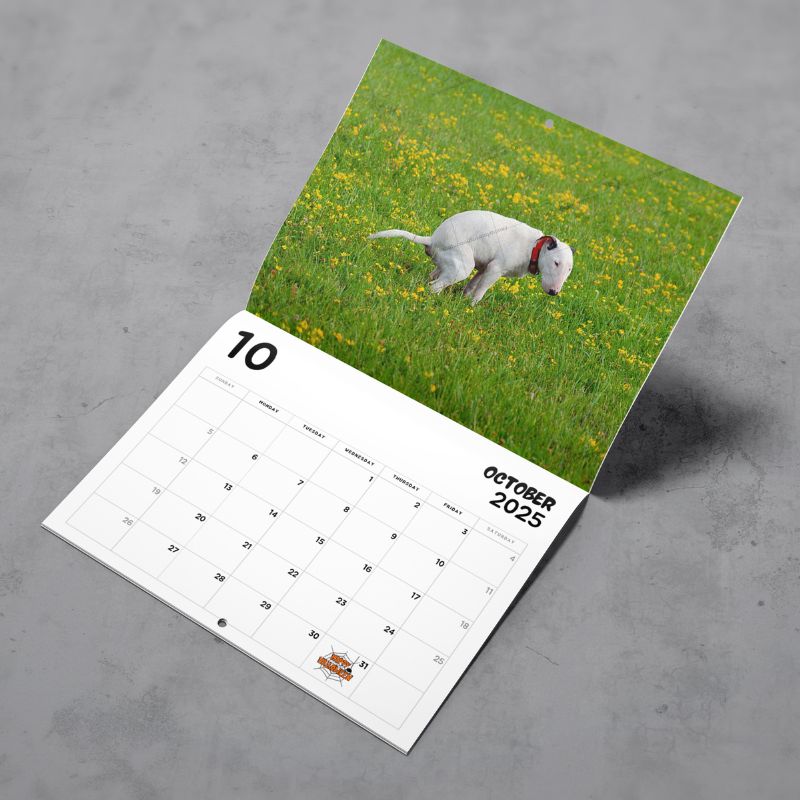 Cute Puppies 2025 Prank Calendar (PRE-ORDER)