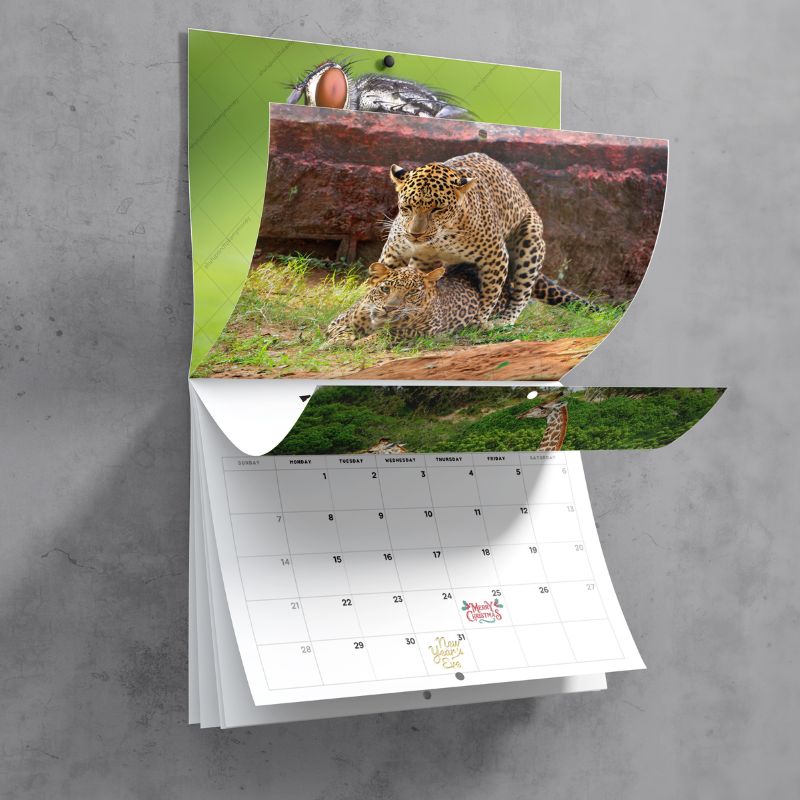 Humping Animals 2025 Calendar (PRE-ORDER)