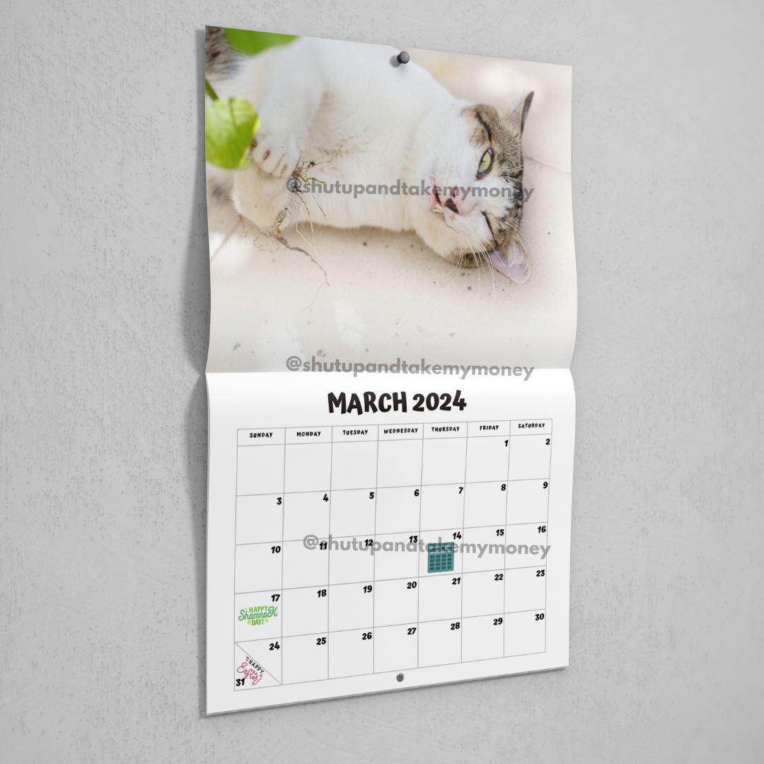 (PREORDER) Cats High On Catnip 2024 Calendar TireCockz