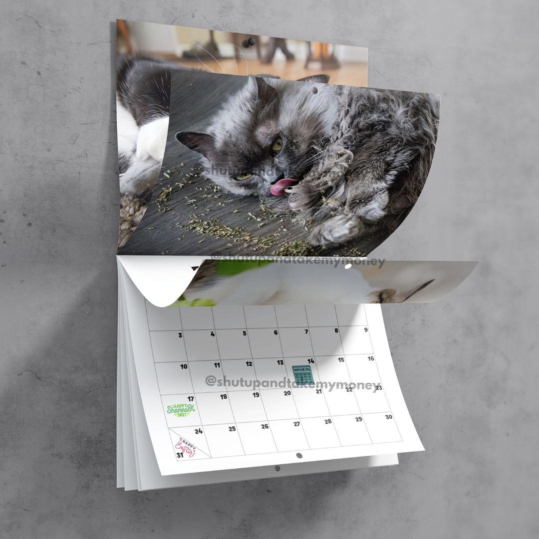 (PRE-ORDER) Cats High On Catnip 2024 Calendar