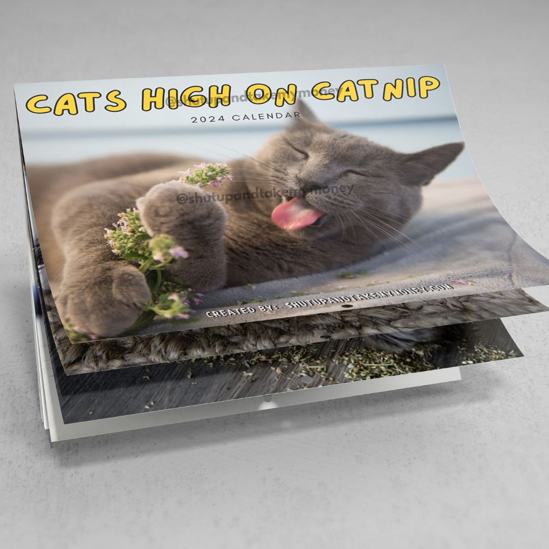 (PRE-ORDER) Cats High On Catnip 2024 Calendar