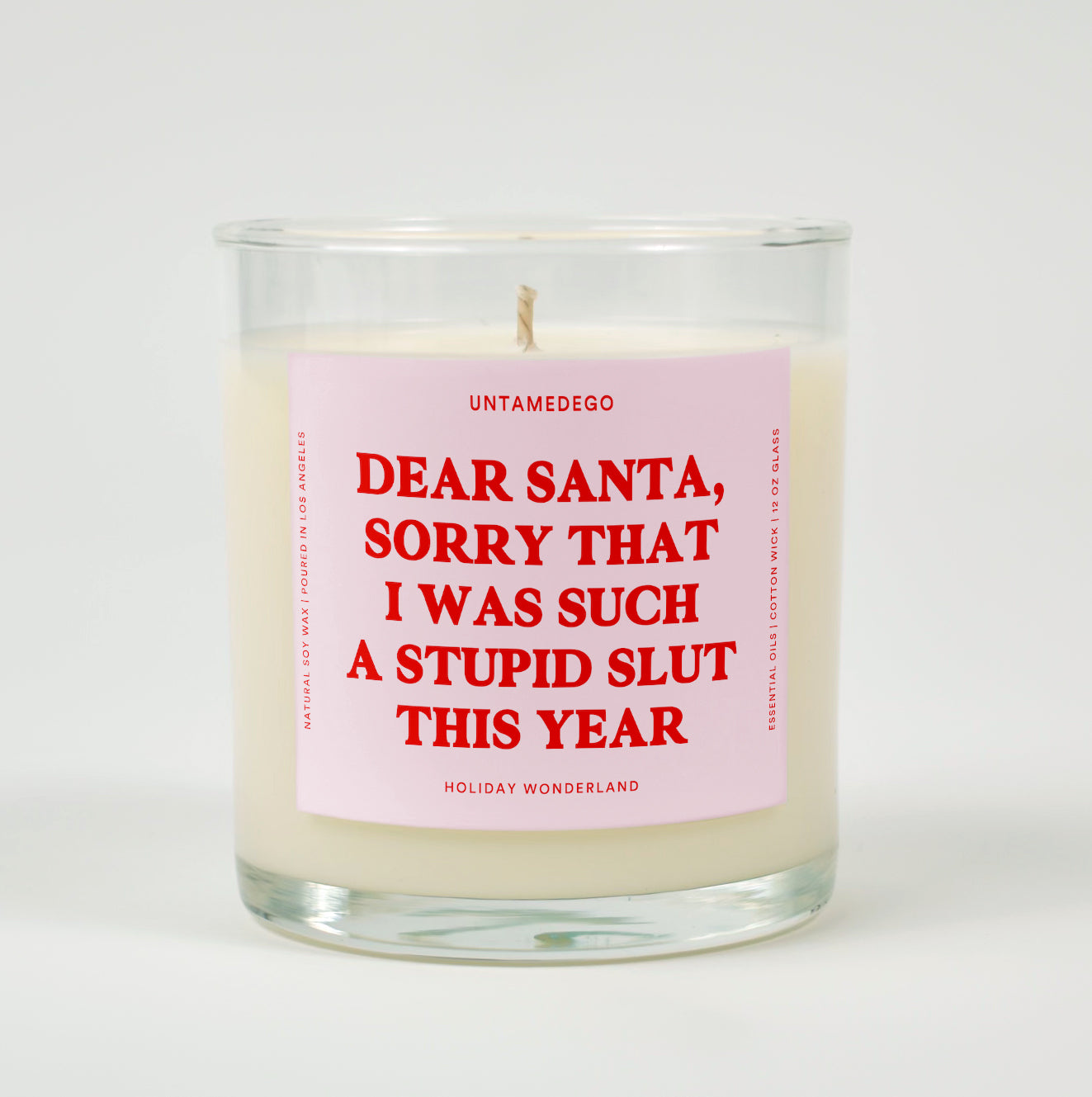 Dear Santa Sorry that I Was Such A Stupid Slut This Year Christmas Glass Candle