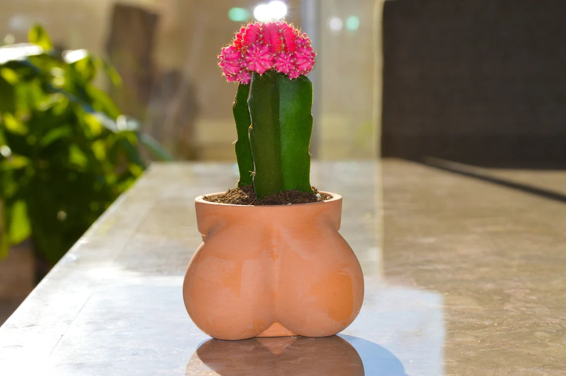 Terracocktus Pot Planter