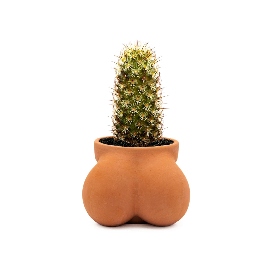 Terracocktus Pot Planter