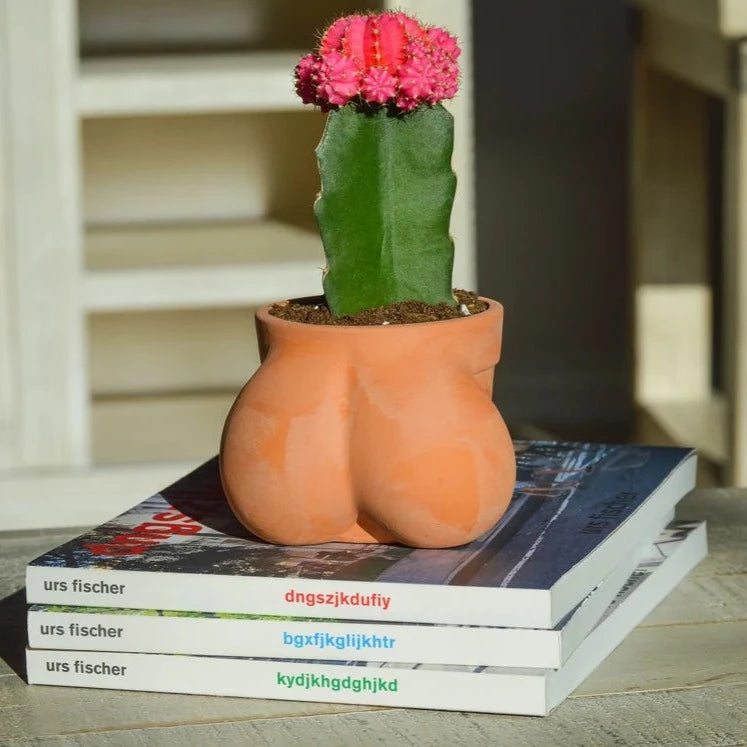 Terracocktus Pot Planter